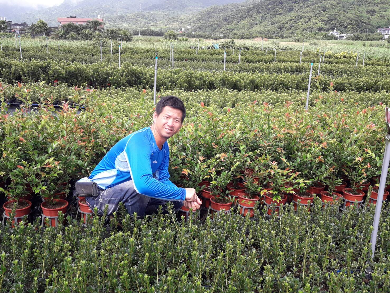 青農嚴慶榮與杜鵑苗圃