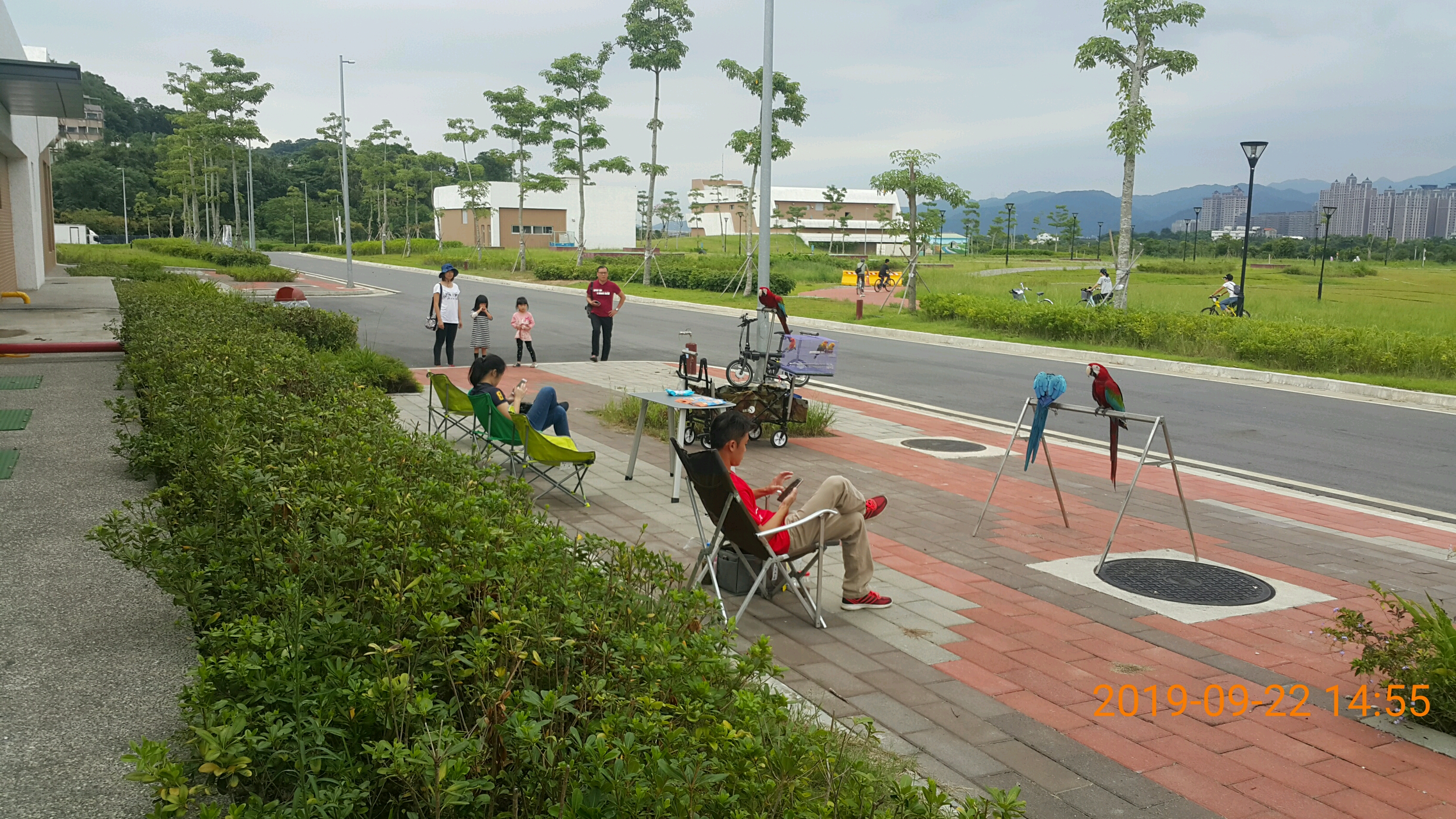 時常有民眾來三鶯水資中心訓練家養鸚鵡