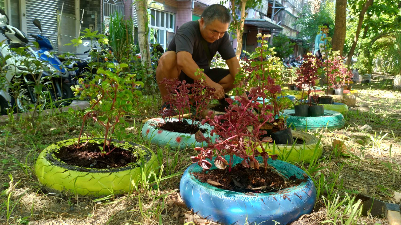 里民於廢棄輪胎所製成的園圃種植景觀植栽