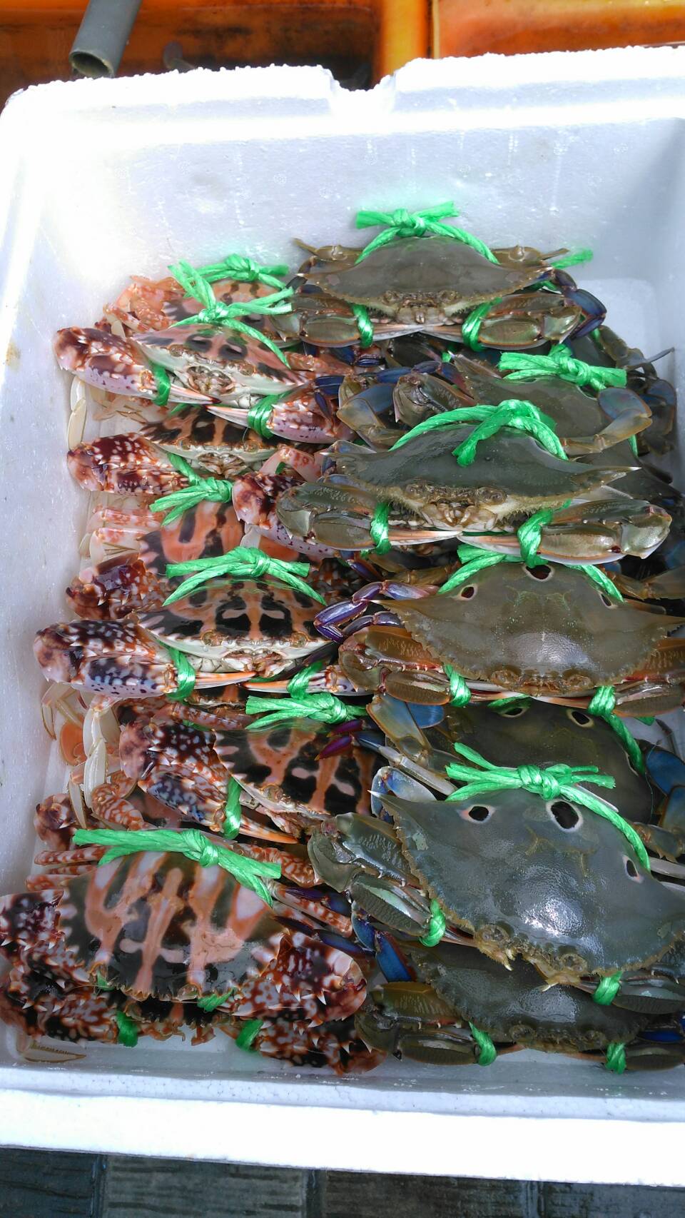 龜吼漁夫市集萬元萬里蟹禮盒，快來買紅包試手氣(禮盒內容視當日漁獲狀況調整為等值魚產品)