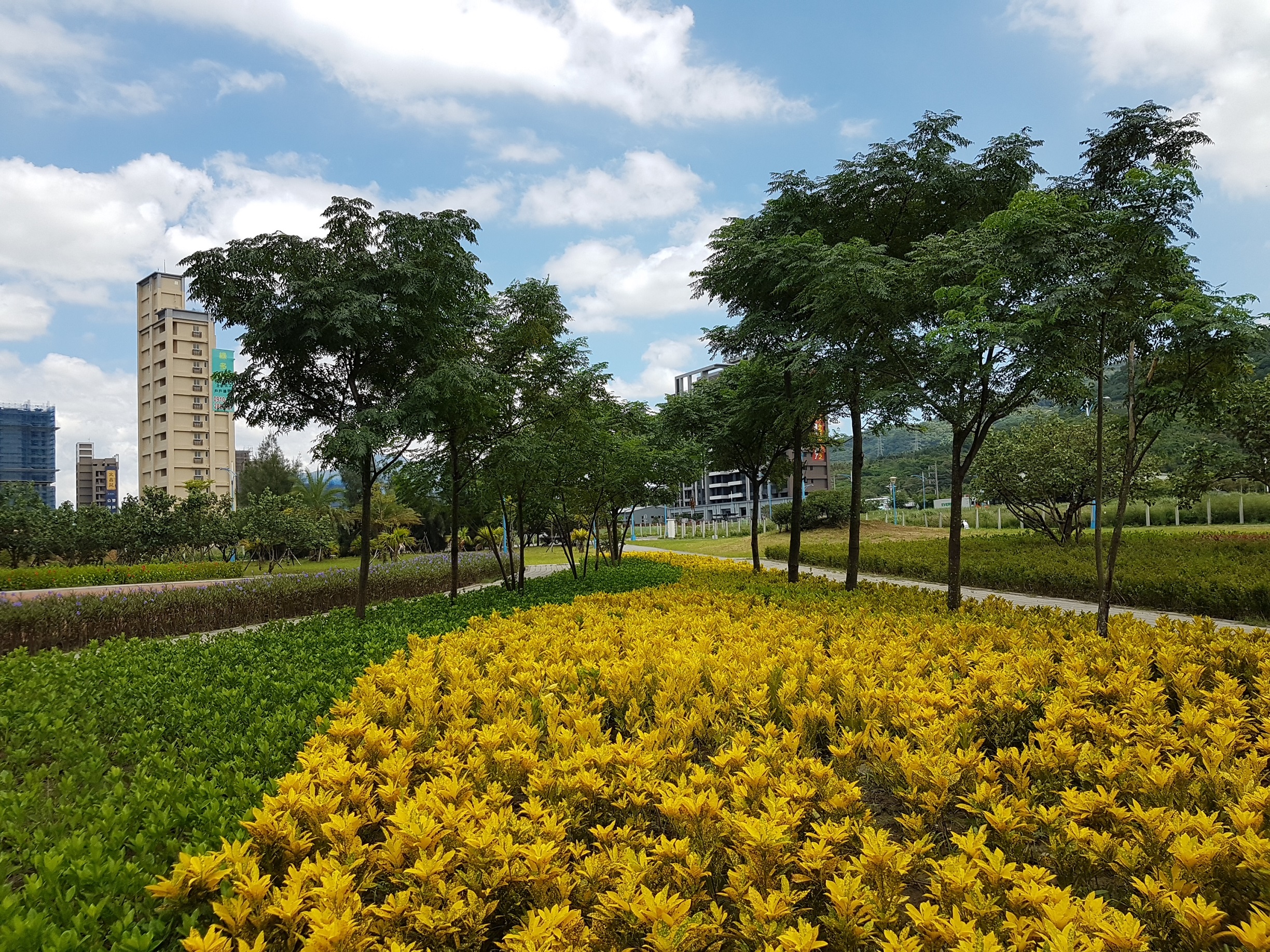 不同灌木的色彩搭配讓公園景觀更活潑有趣
