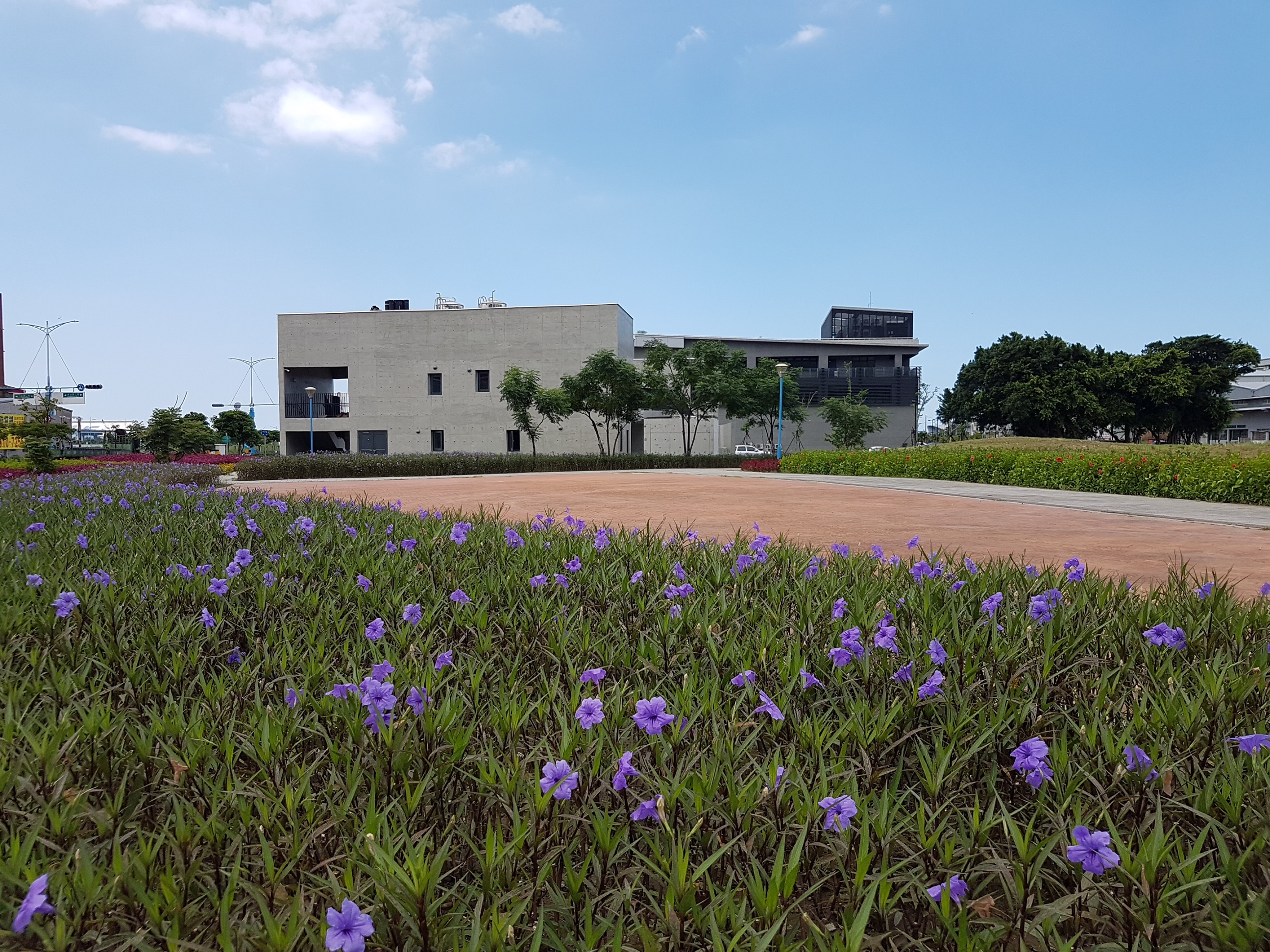 八里公博三公園翠蘆莉