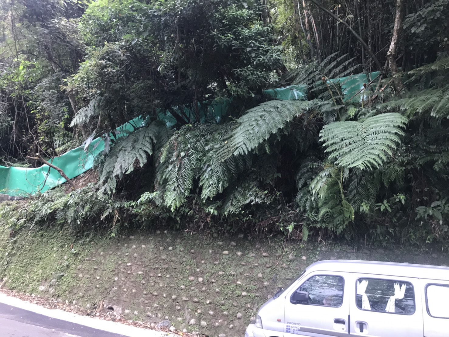 山坡設置誘導圍籬