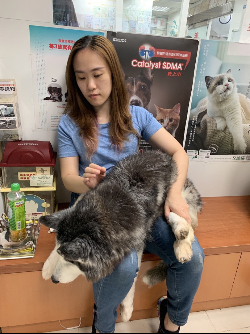 狼妹和毛媽照片