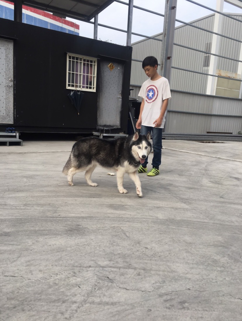 小哥哥帶我出門散步