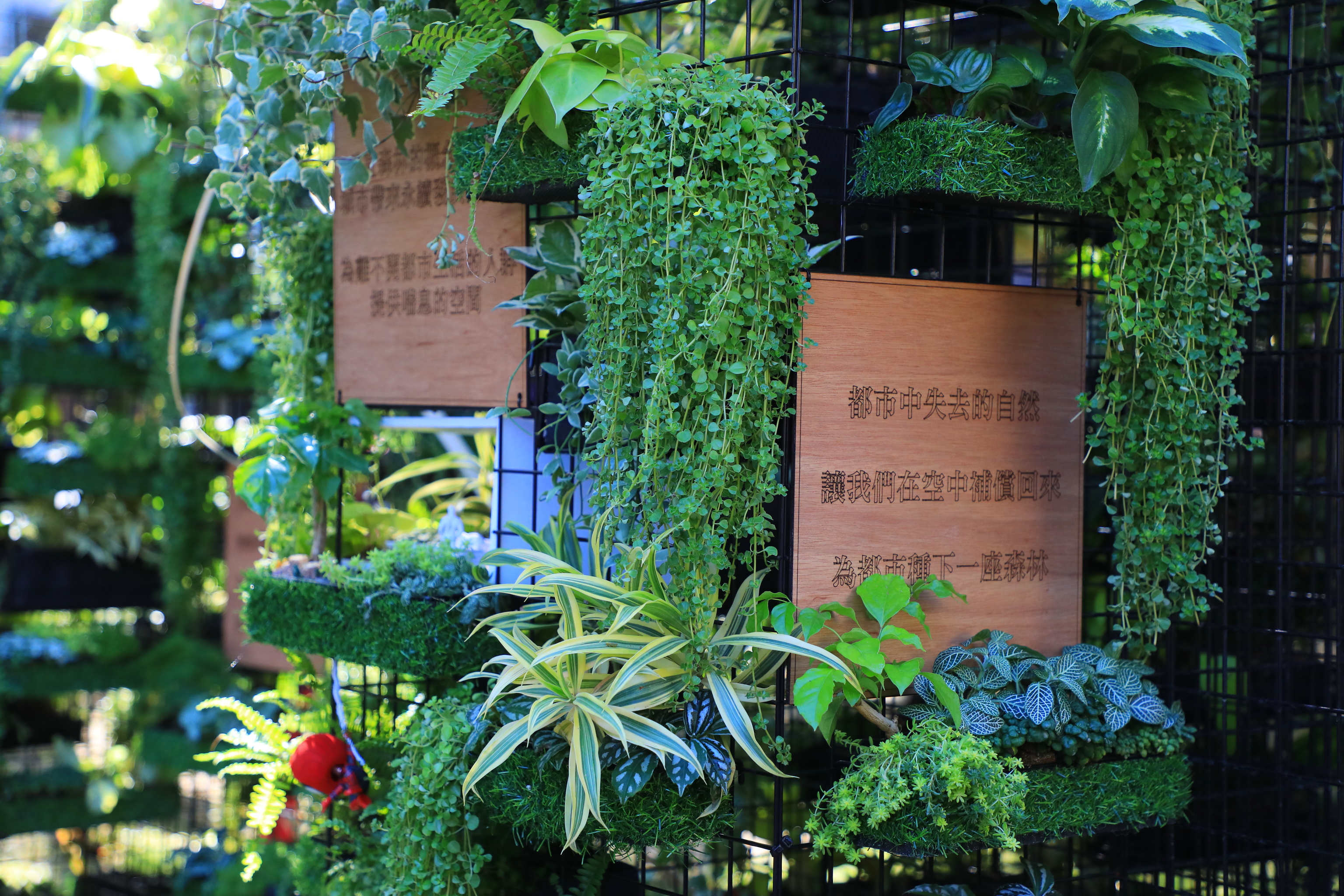 全國青年景觀競賽來自全台各校菁英，用作品表現為豐富城市風貌而努力