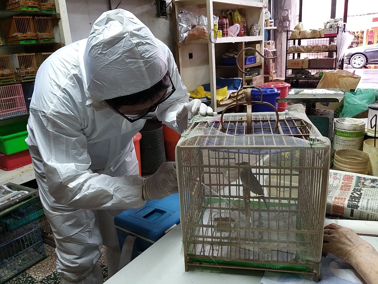 寵物鳥園及繁殖業者進行主動監測