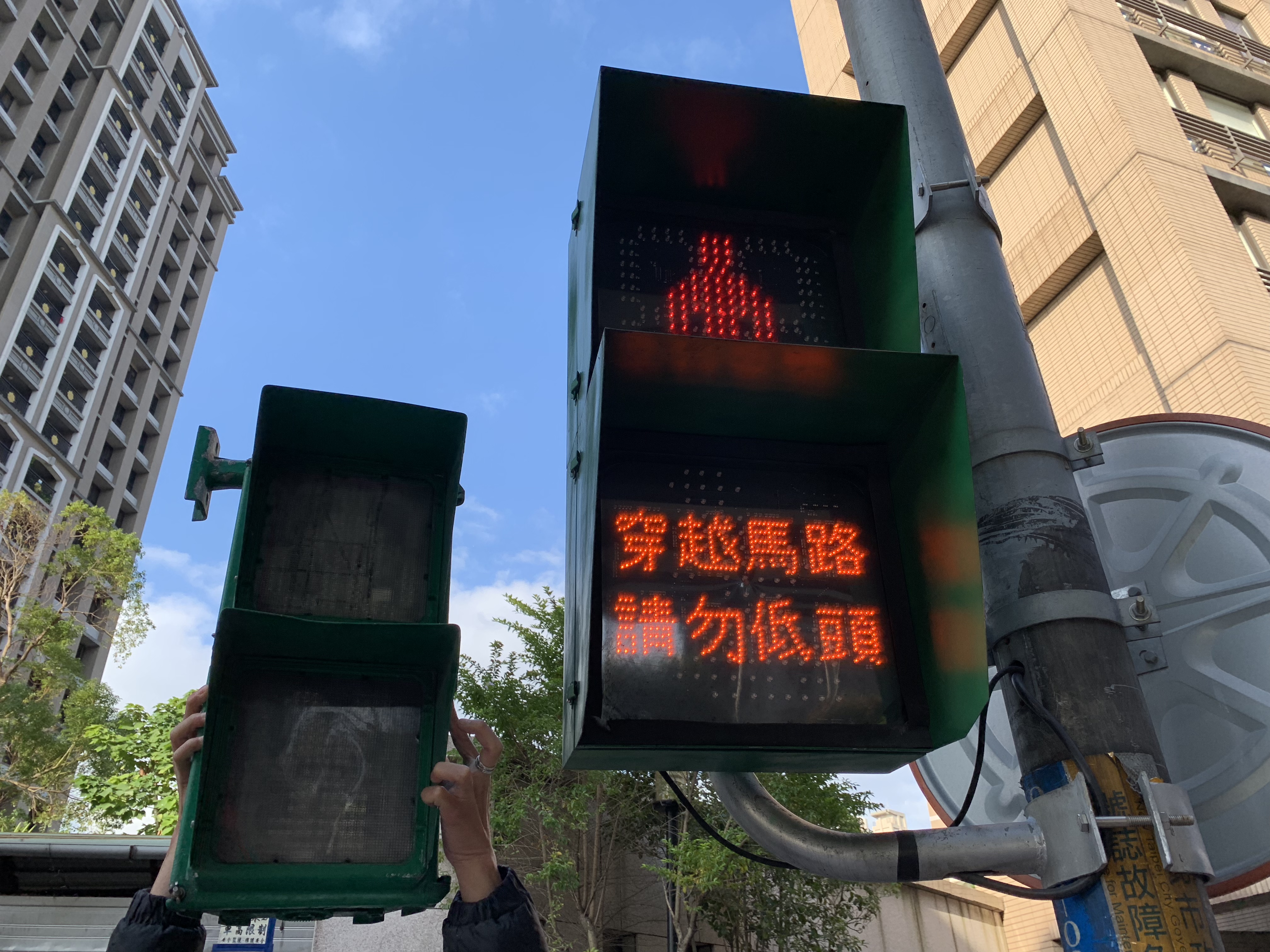 雙和醫院前更放大40×40公分為全國最大支，還貼心增設手動延長綠燈