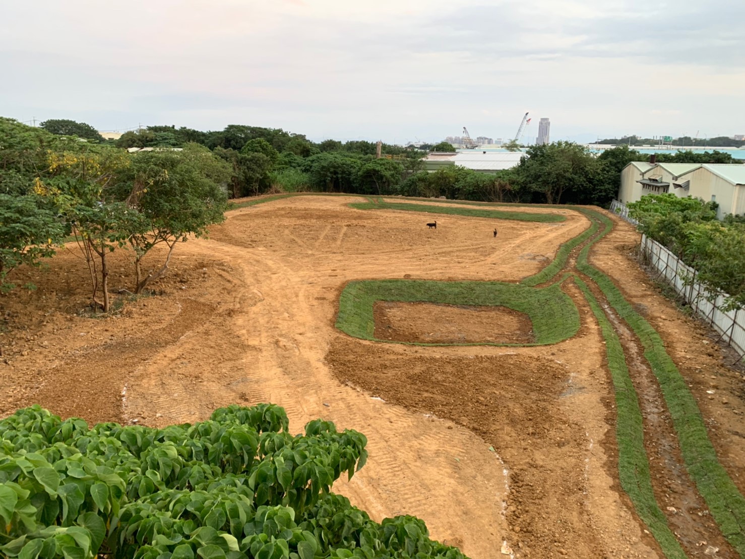 五股垃圾山整地及植栽後現況