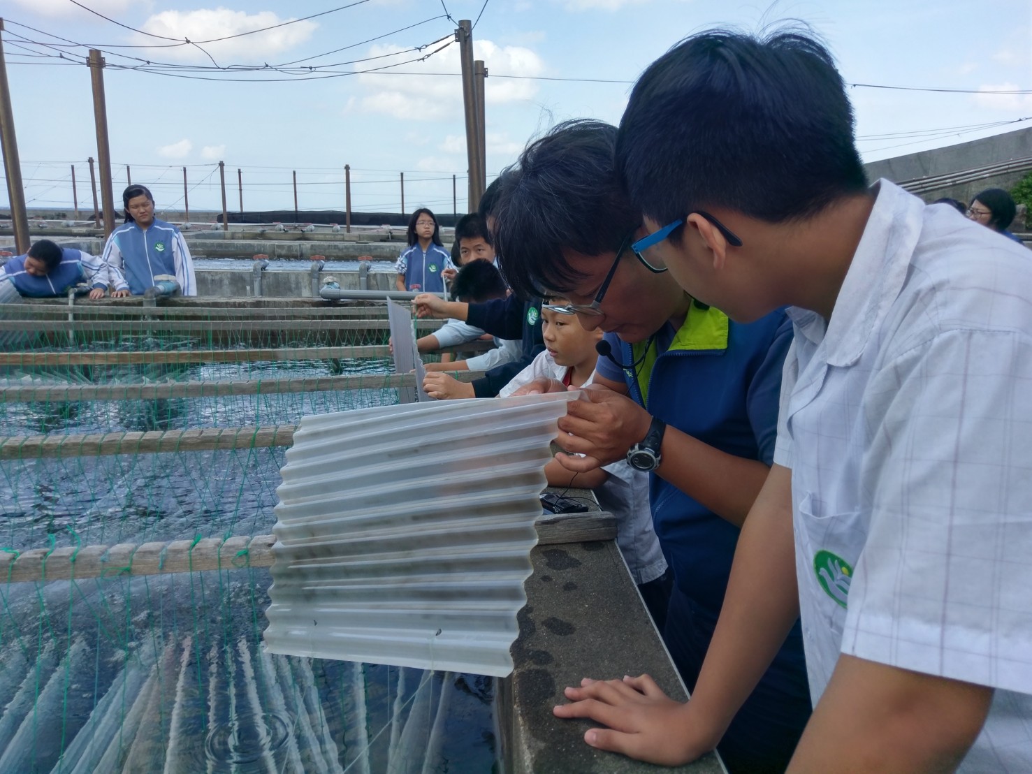 冬季限定！海洋資源復育園區九孔寶寶見面會！
