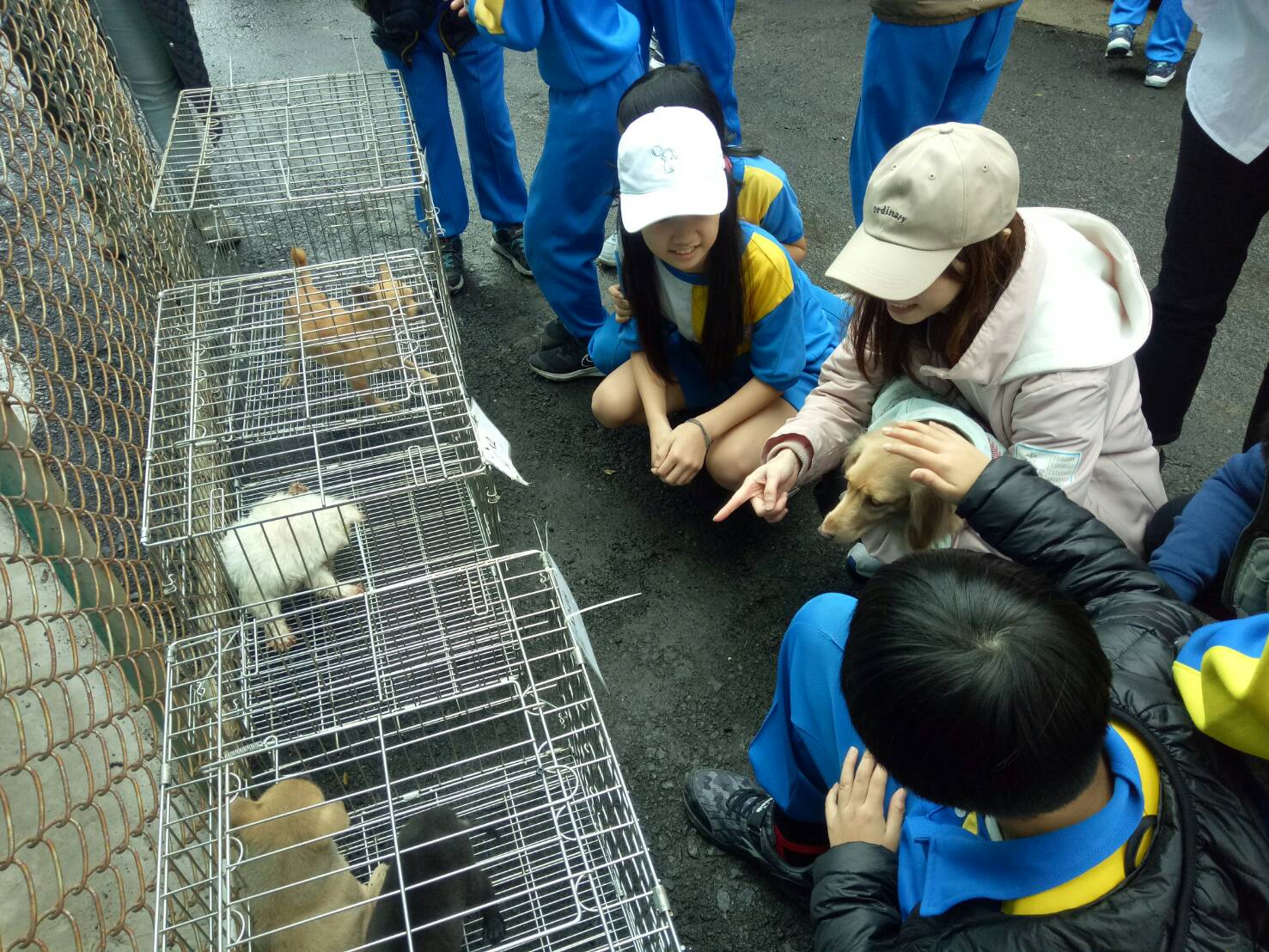 同學們和小安到淡水動物之家參訪