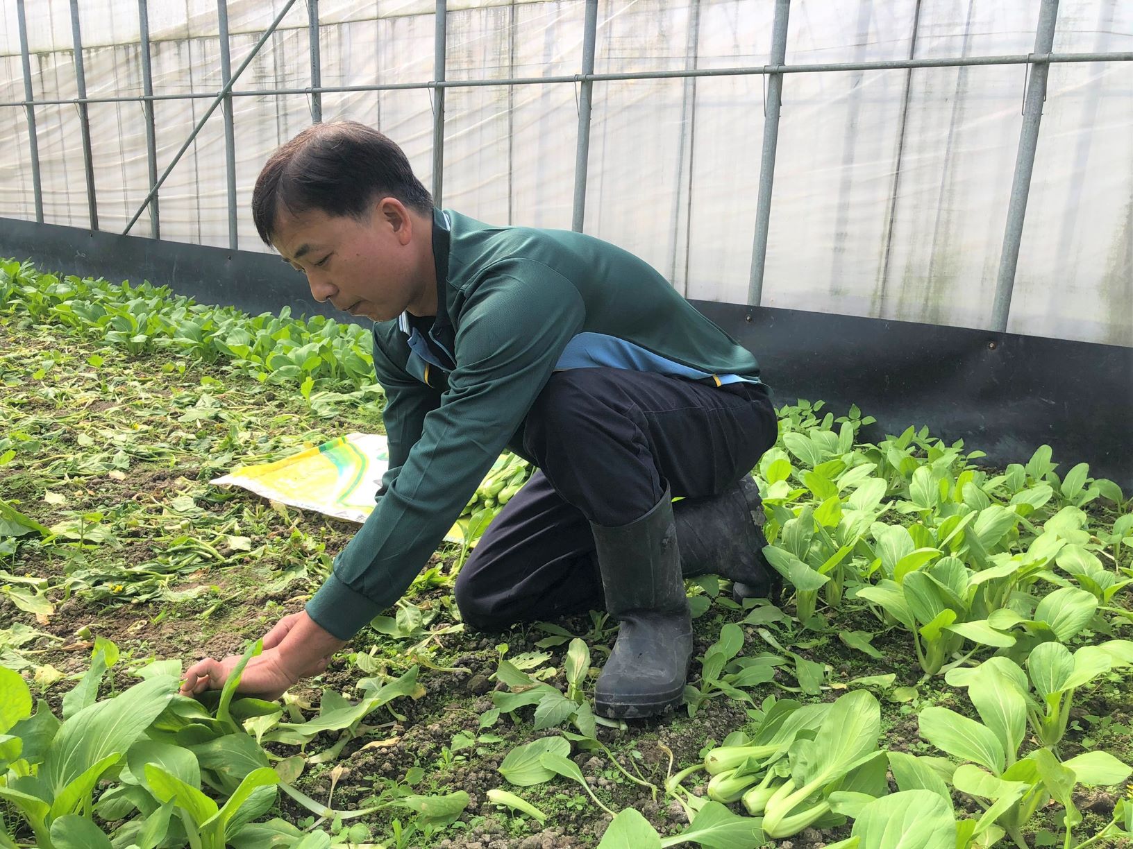 洪福銓農活