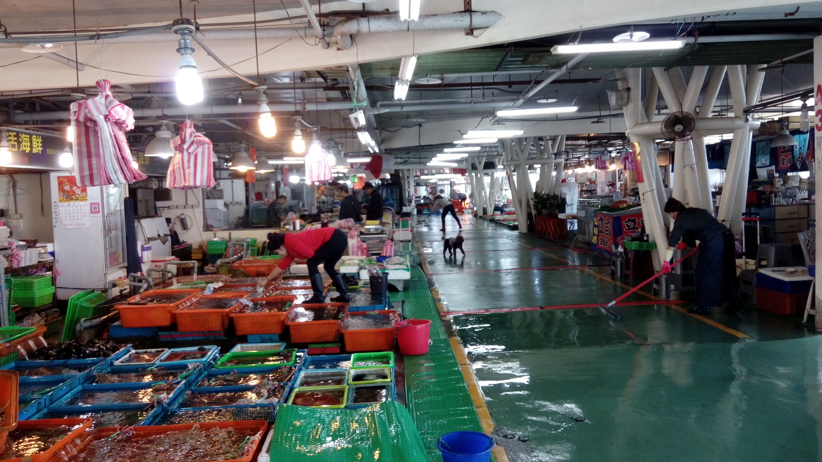 乾淨明朗高CP值水攤，歡迎來魚市消費觀光。