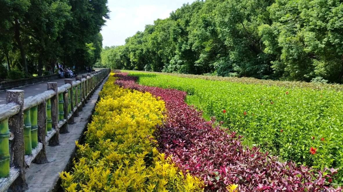 板橋區環河公園旁閒置市有土地綠美化成果