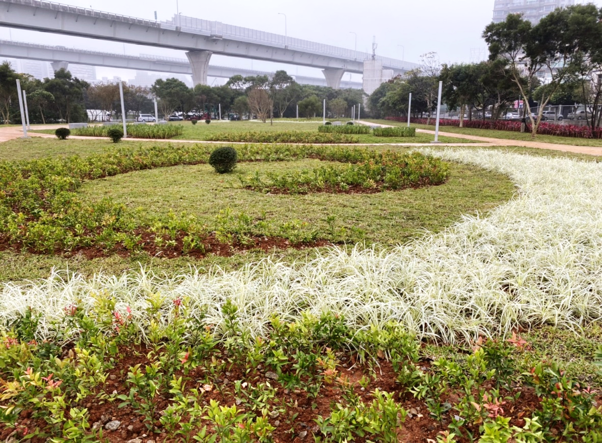 林口區高速公路用地綠美化成果