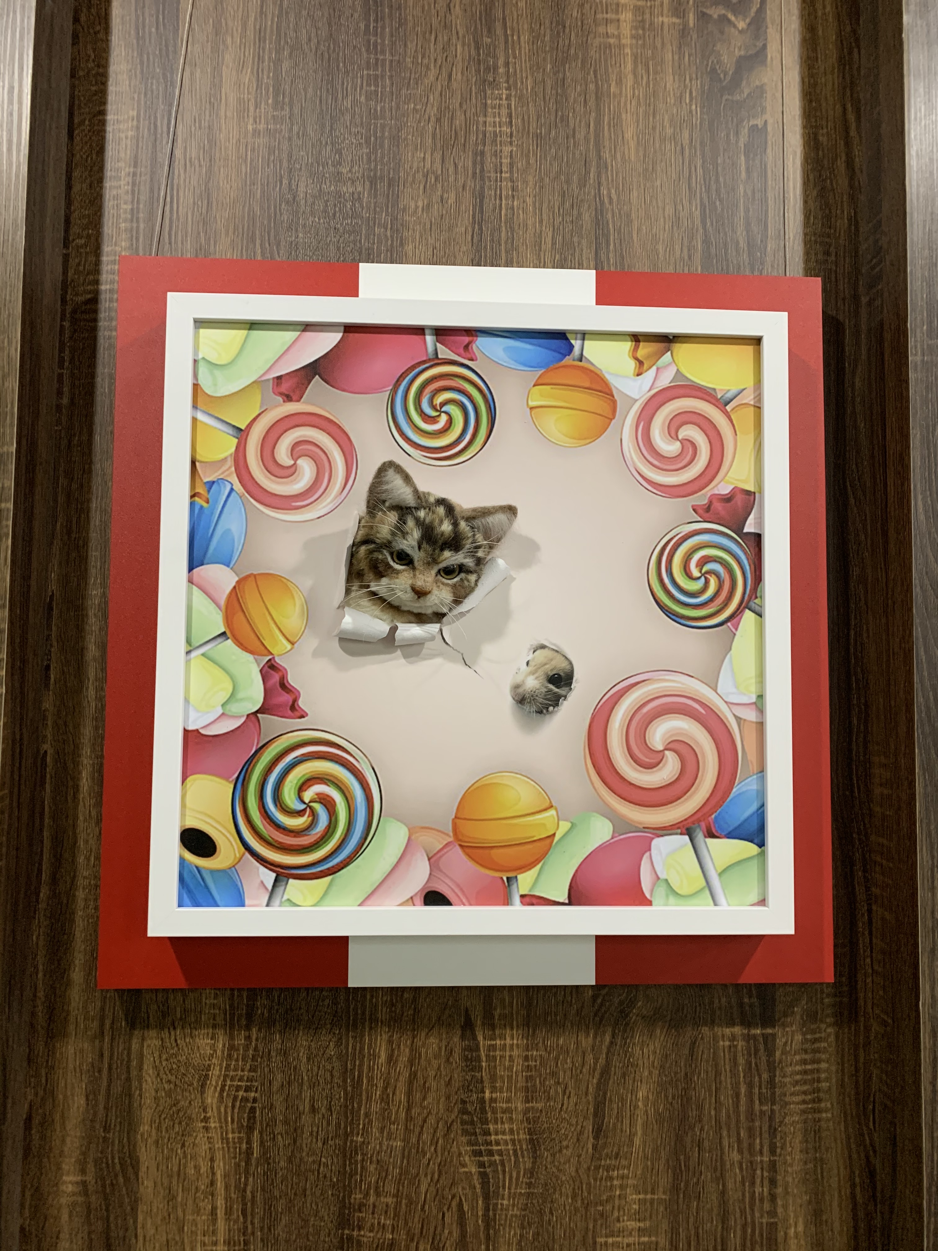 鼠不盡的幸福展覽-貓與鼠