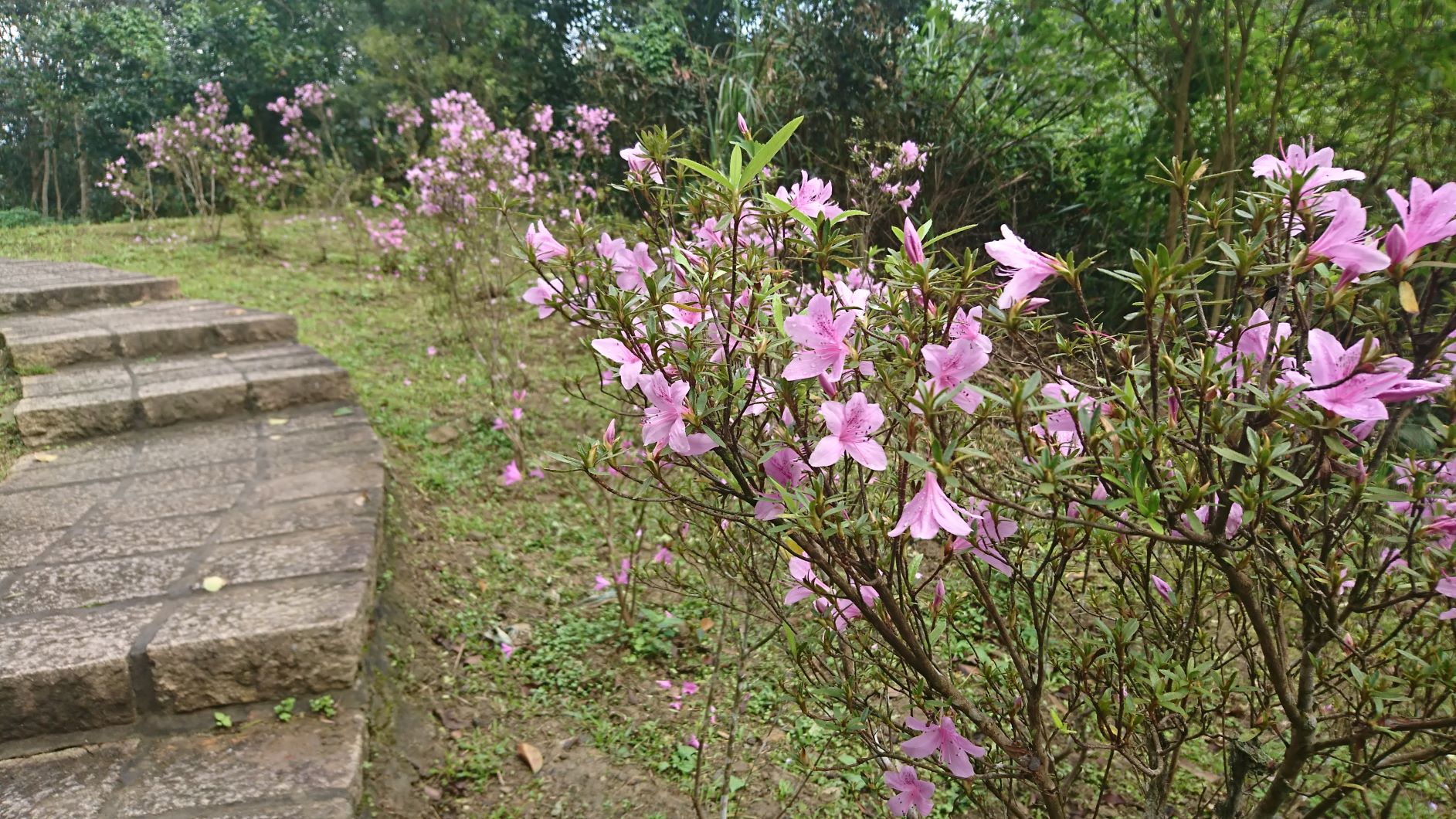 淡蘭古道