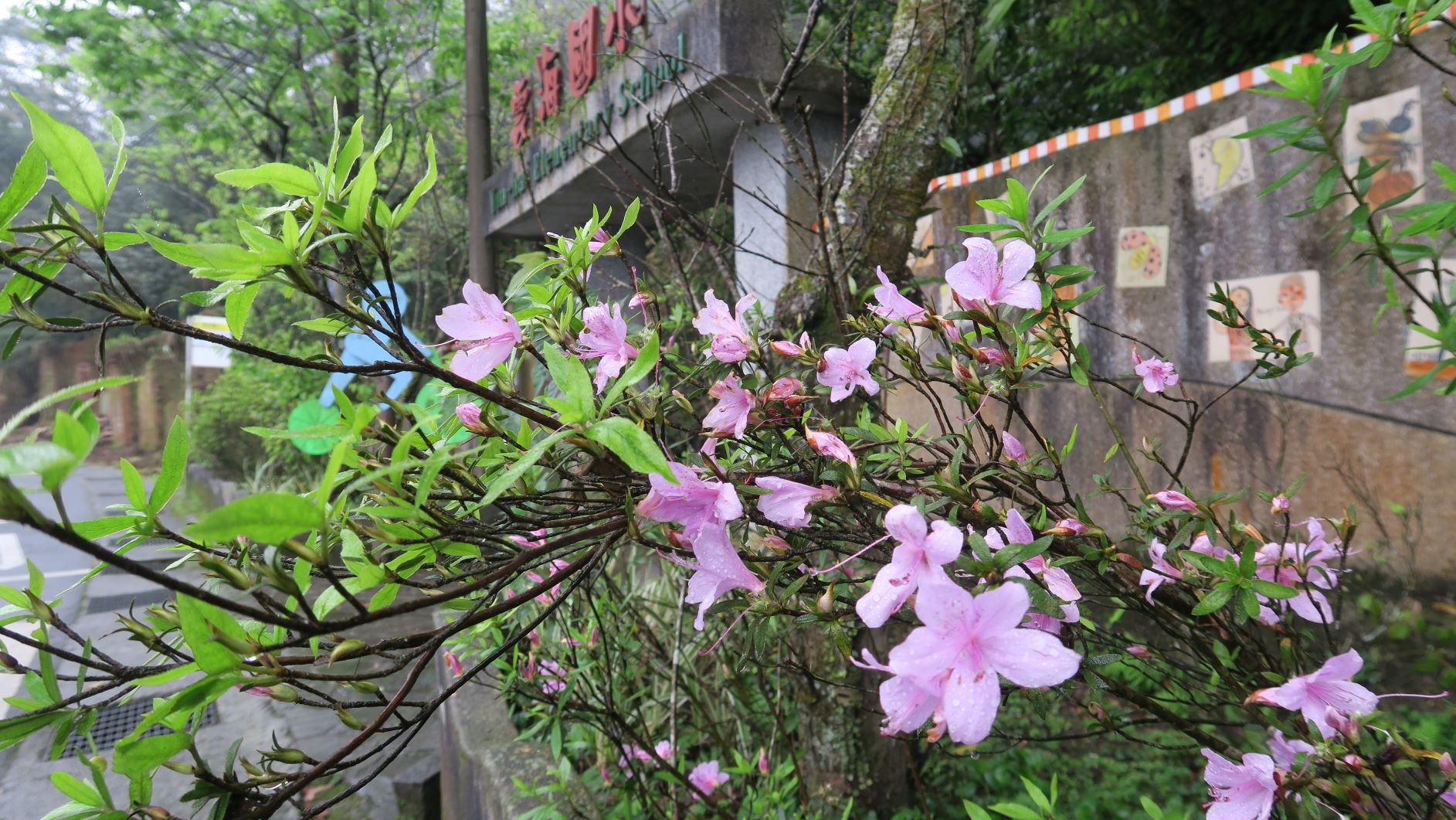 雲海國小