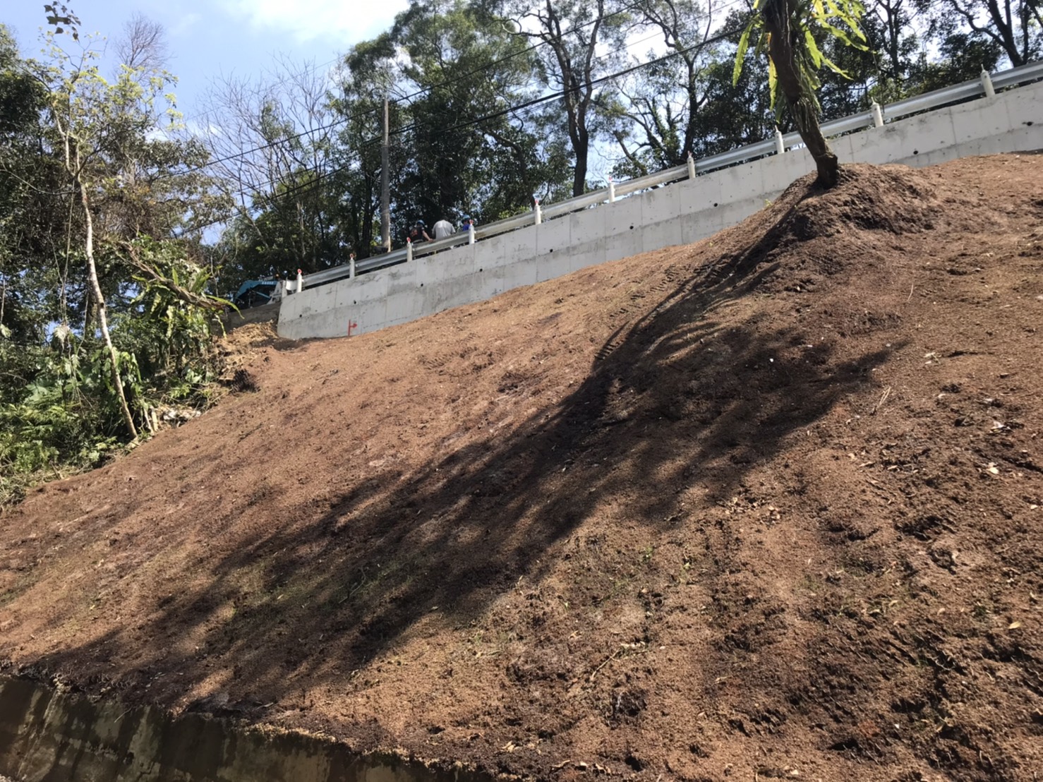 施工後-2-3(邊坡植生完成)