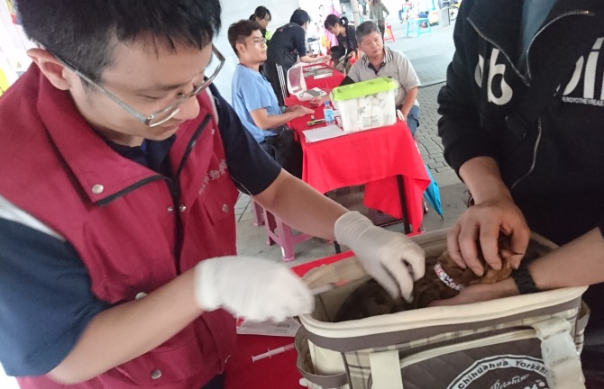 合力替毛寶貝施打疫苗