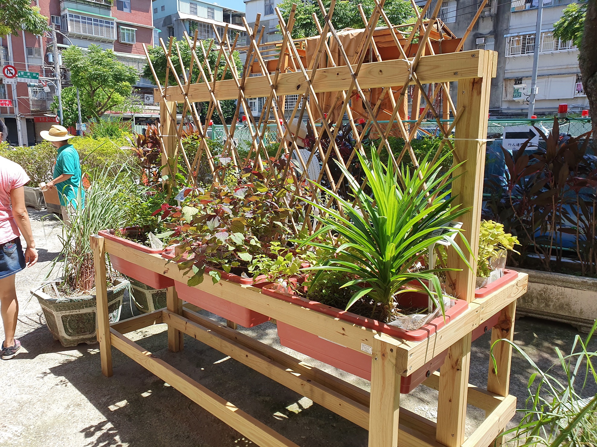 永和區豫溪里可食地景以木架製作離地綠化景觀