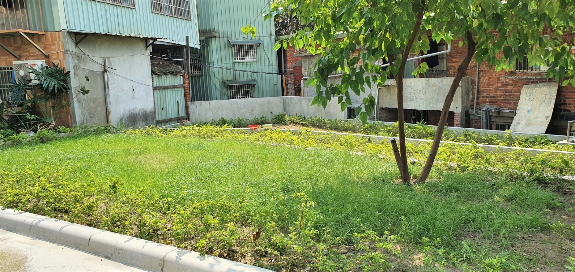 板橋區中山路二段309巷內綠家園基地施作後