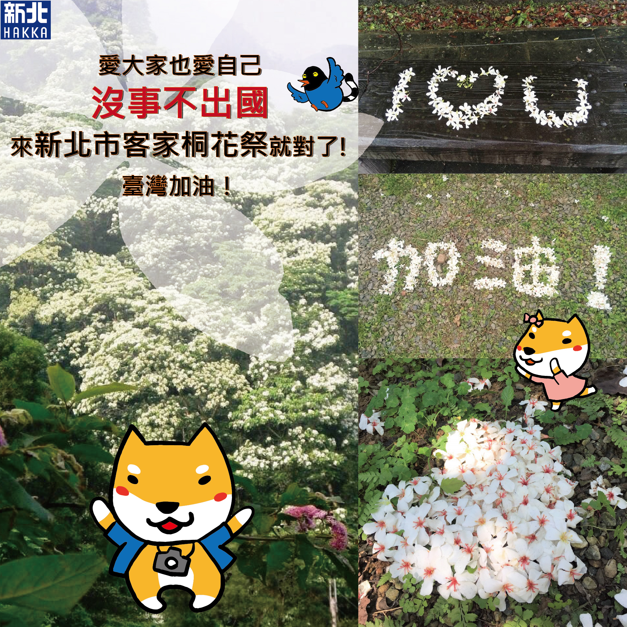 新冠肺炎疫情，排桐花為臺灣加油打氣