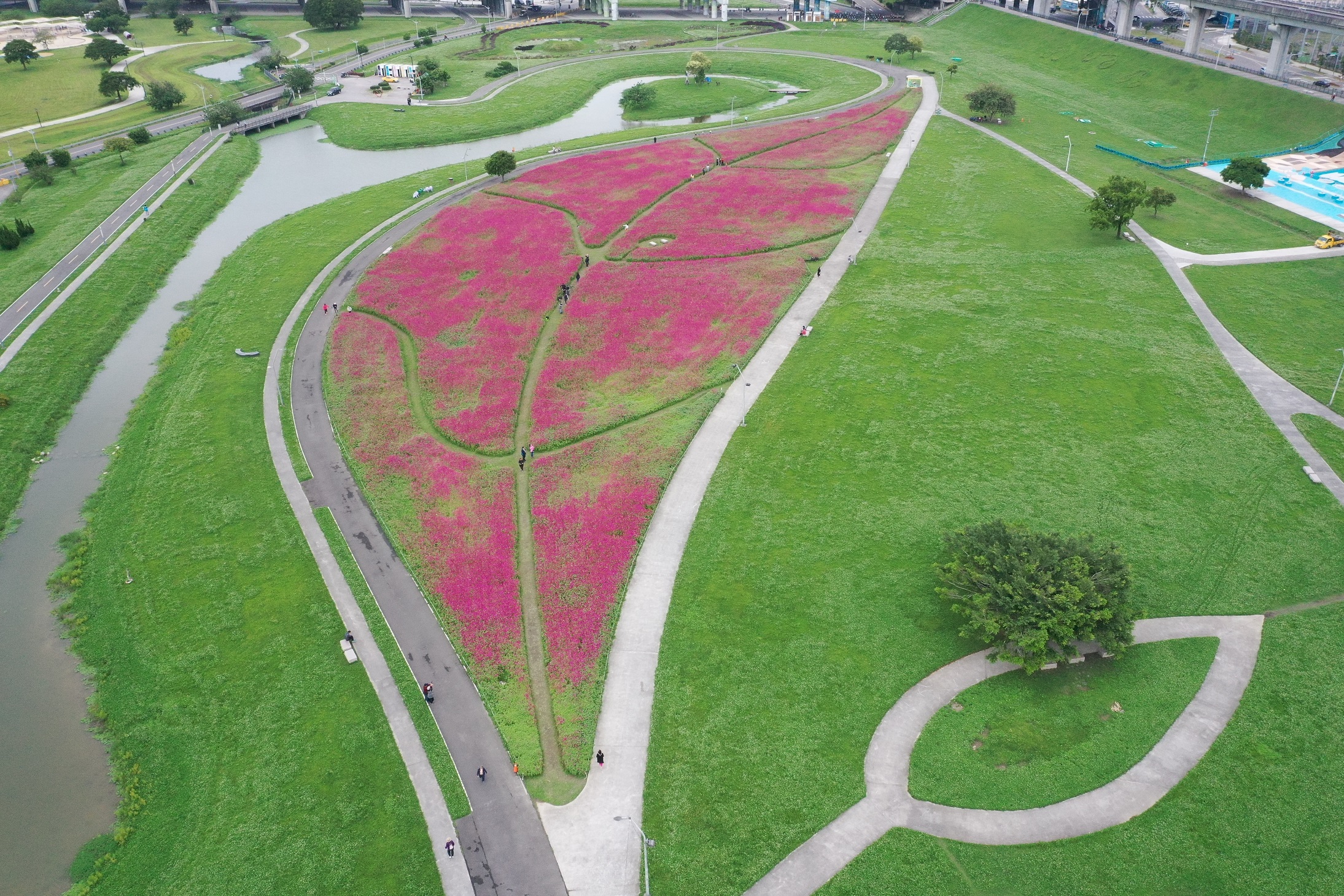 新北大都會公園宛如新北市民的中央公園，擁有廣闊可以盡情奔跑的草皮及迷人的戶外賞花氛圍