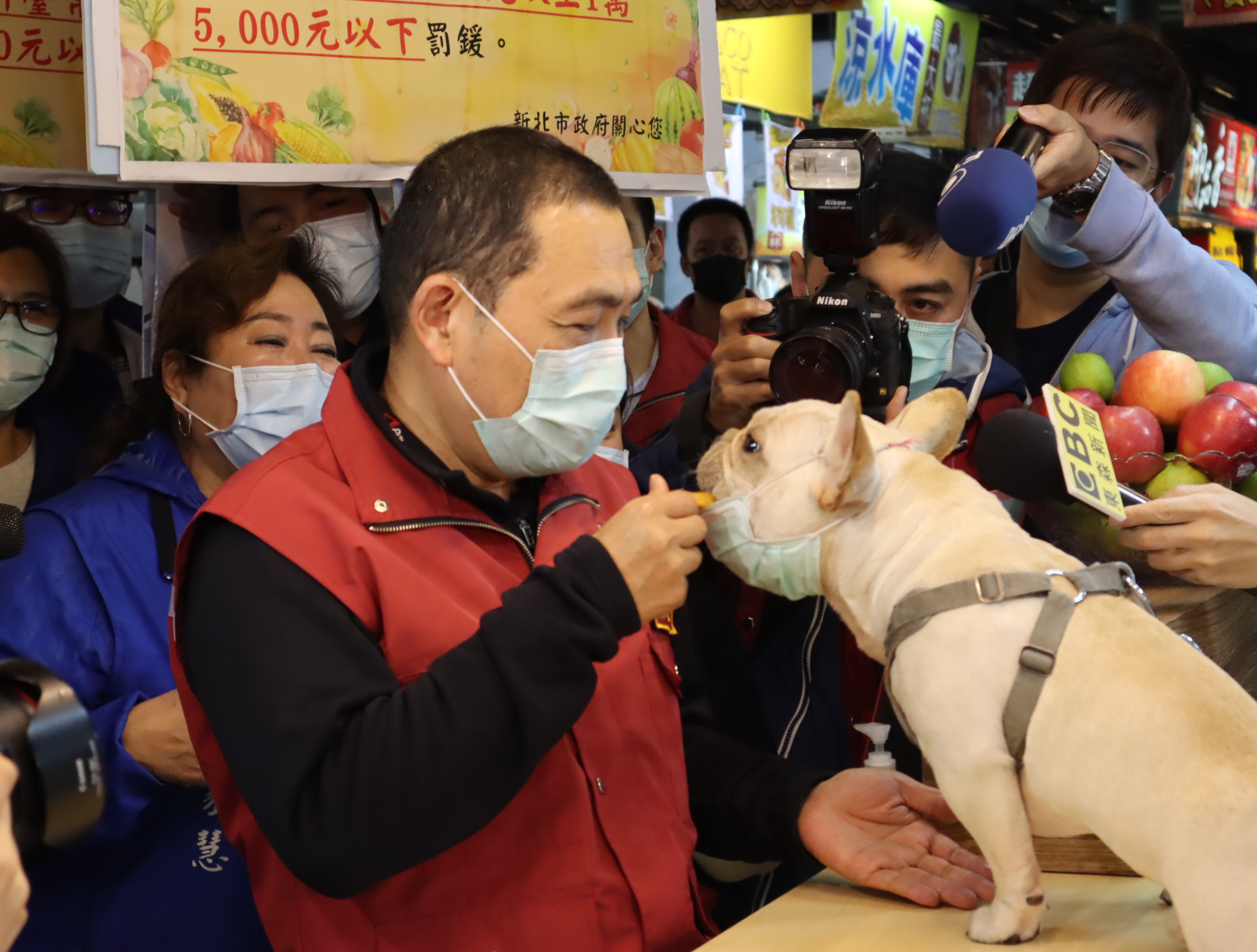 樹林興仁花園夜市不僅攤商戴上口罩，連狗狗也同步配戴。