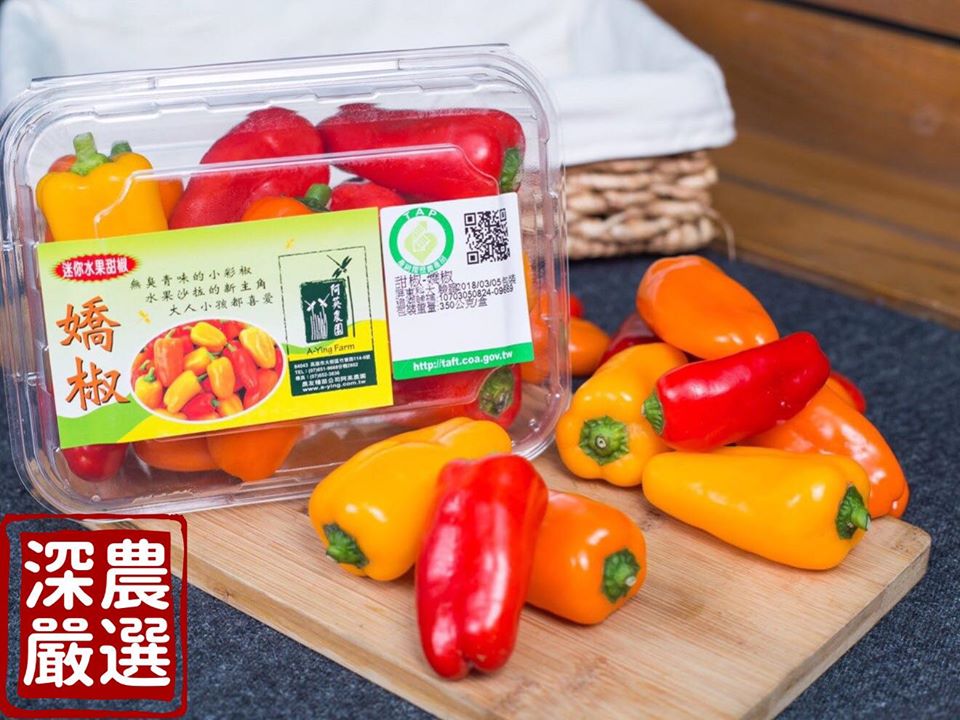 深農0419預告團購高雄小農甜椒