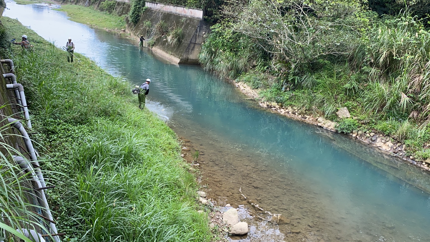 萬里區公所進行員潭溪除草