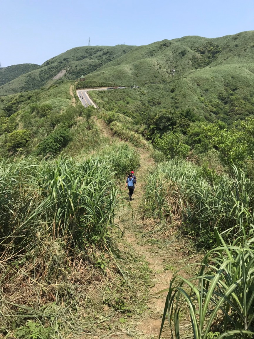 金字碑古道修整後較為平整