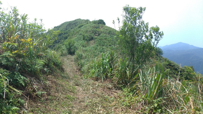 金字碑古道修整後有出現可走的路段