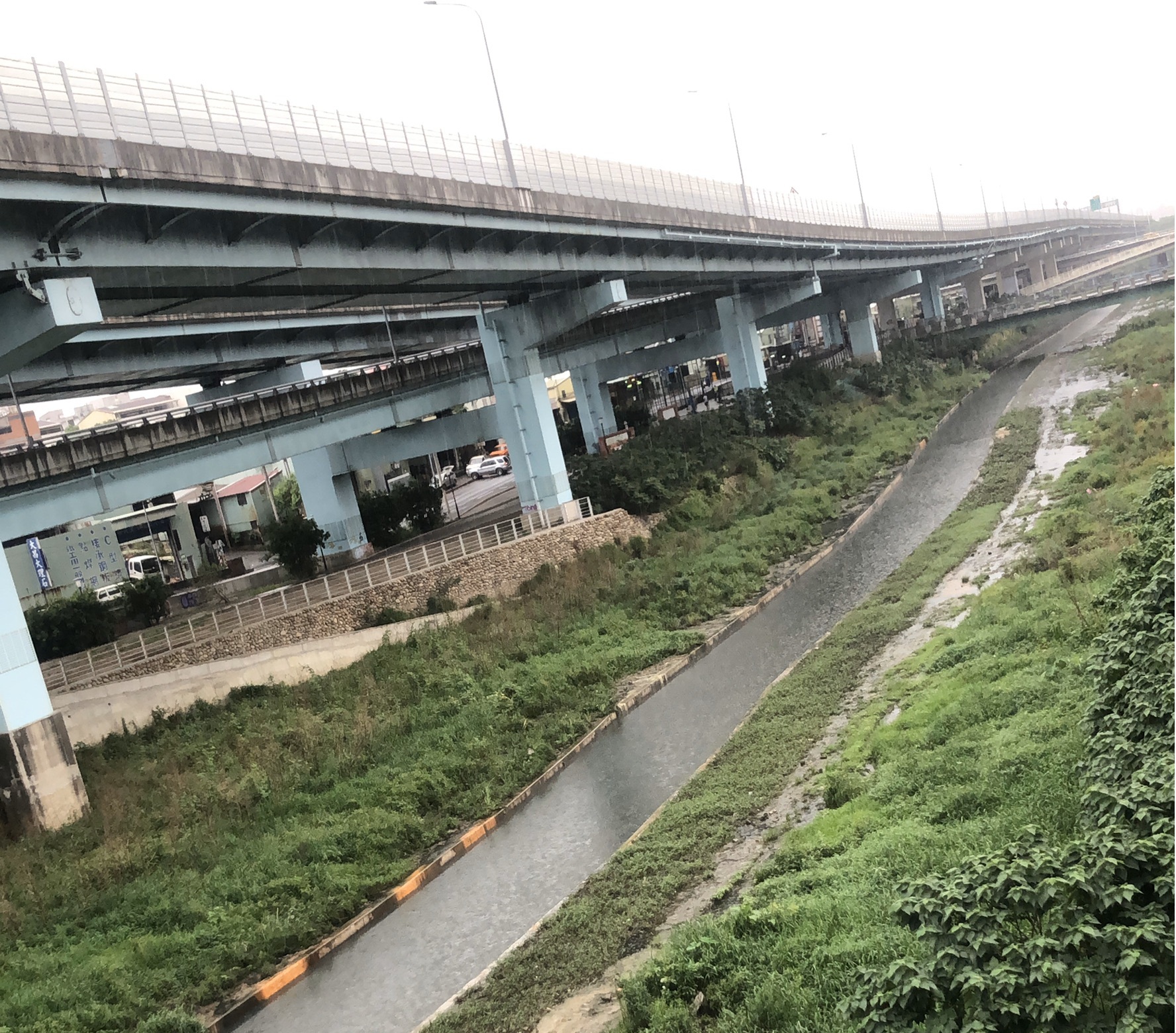 鐵路橋下游段目前植栽情形