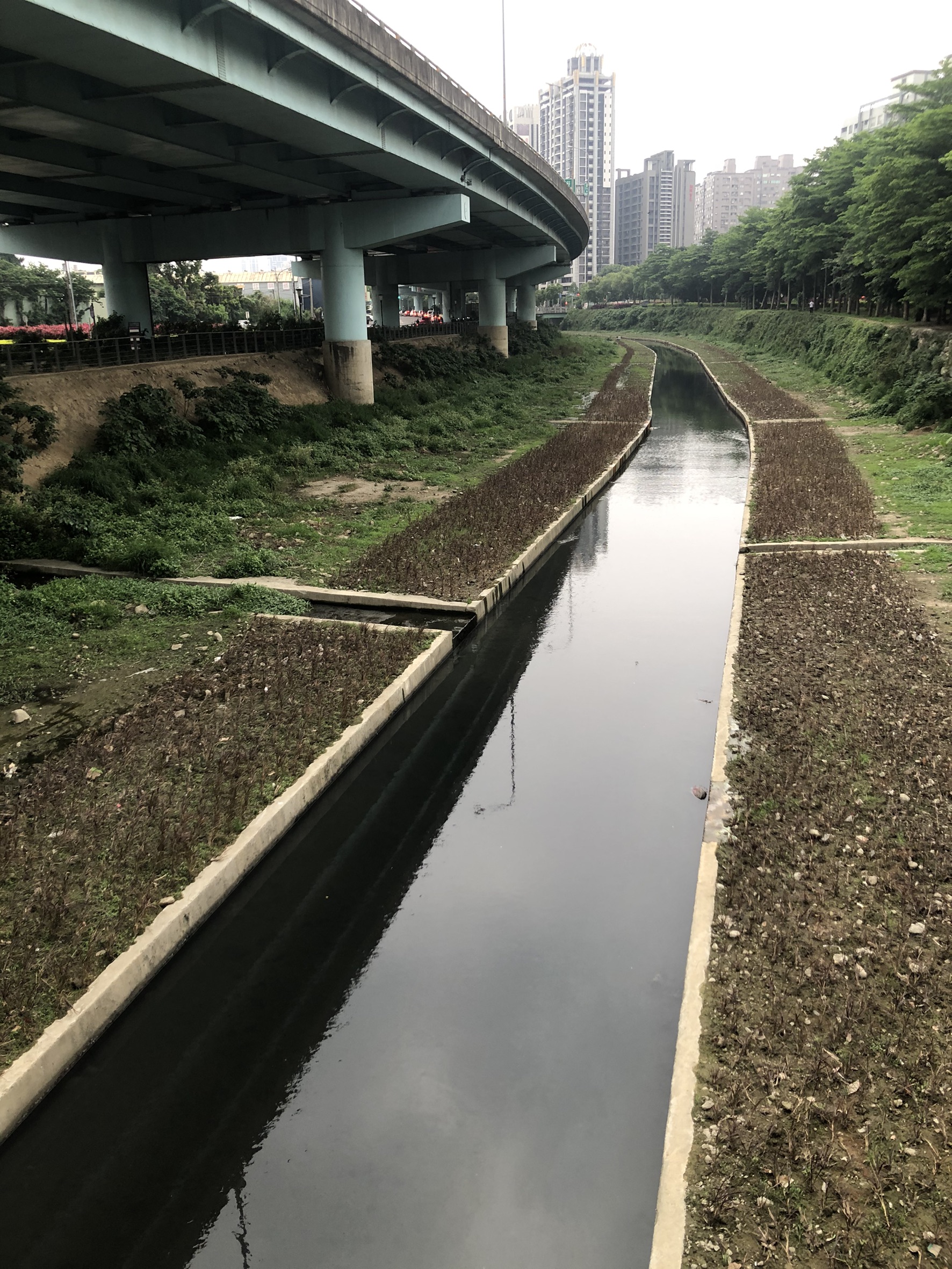 番園橋段目前植栽情形