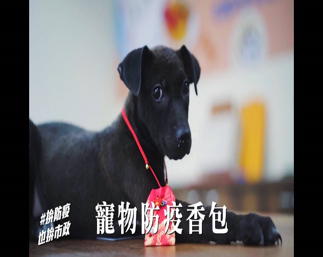 寵物防疫香包製作完成