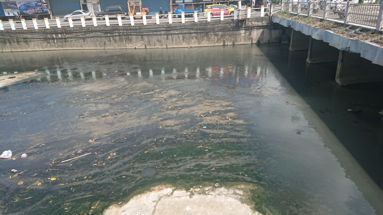 水量不足流速緩慢造成河床積淤