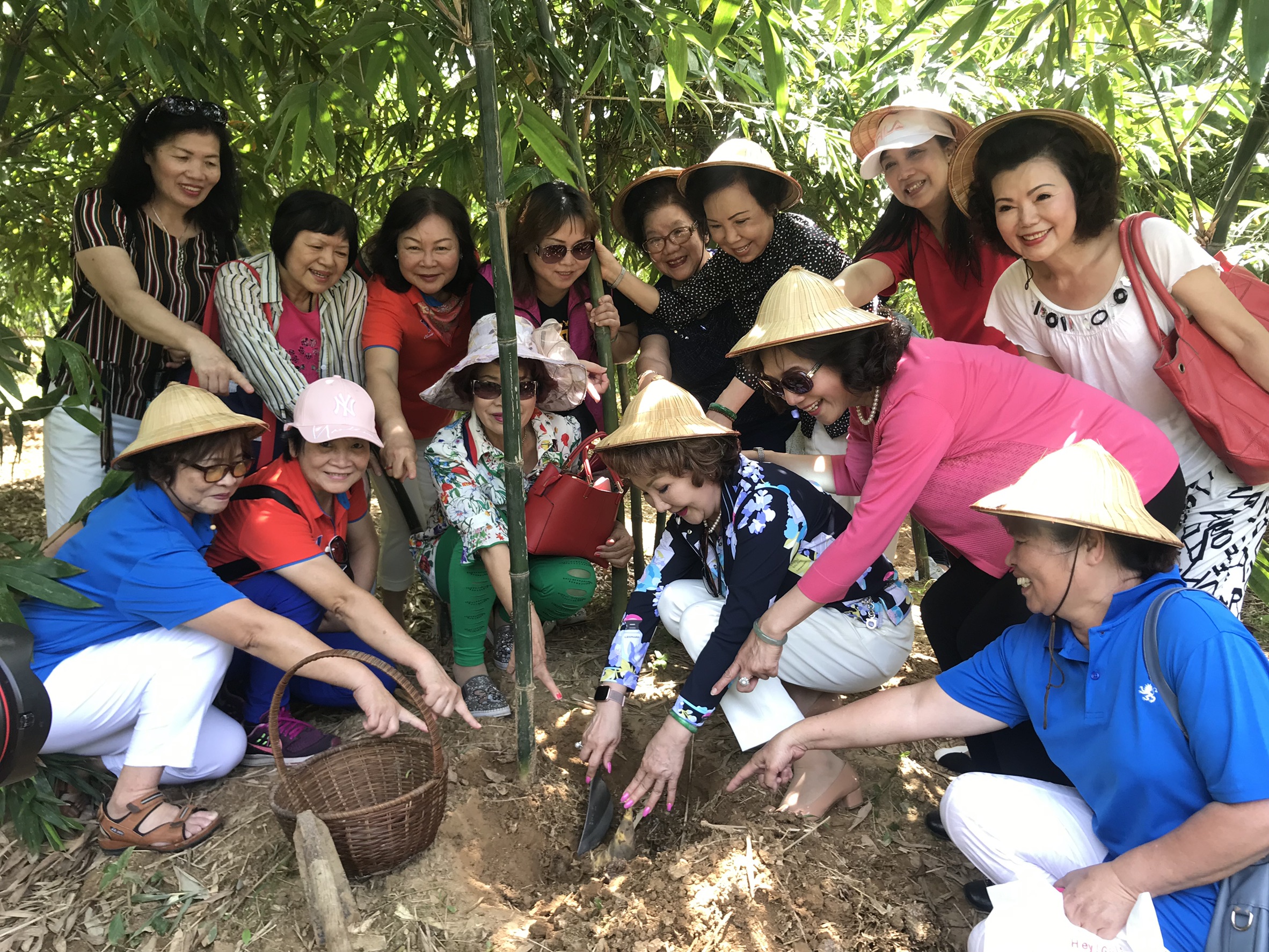 採筍體驗由達人帶你了解挖筍技巧