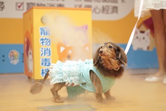 寵物消毒