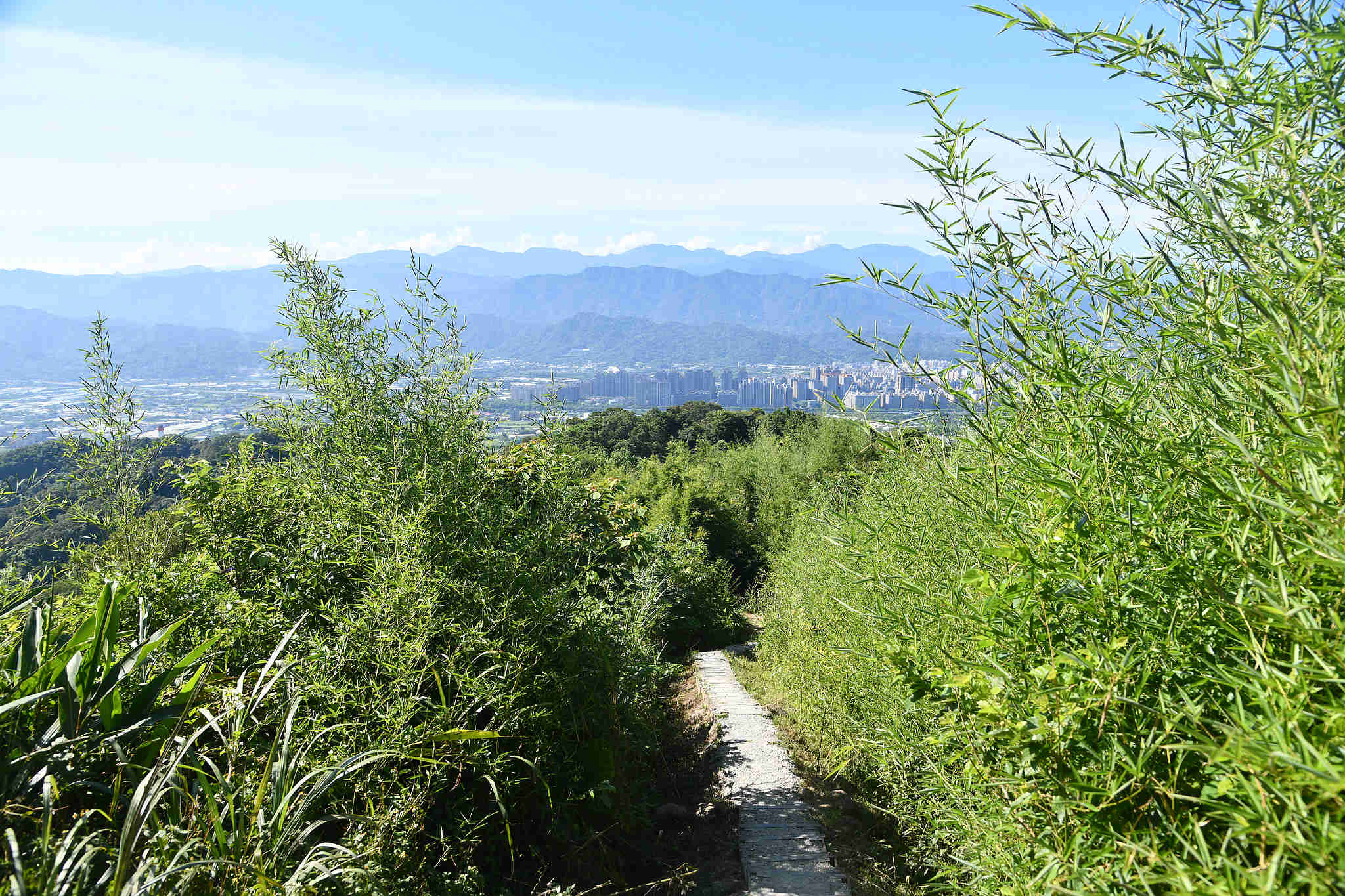 山林無界，新北桃園步道串連，共築低碳生活圈