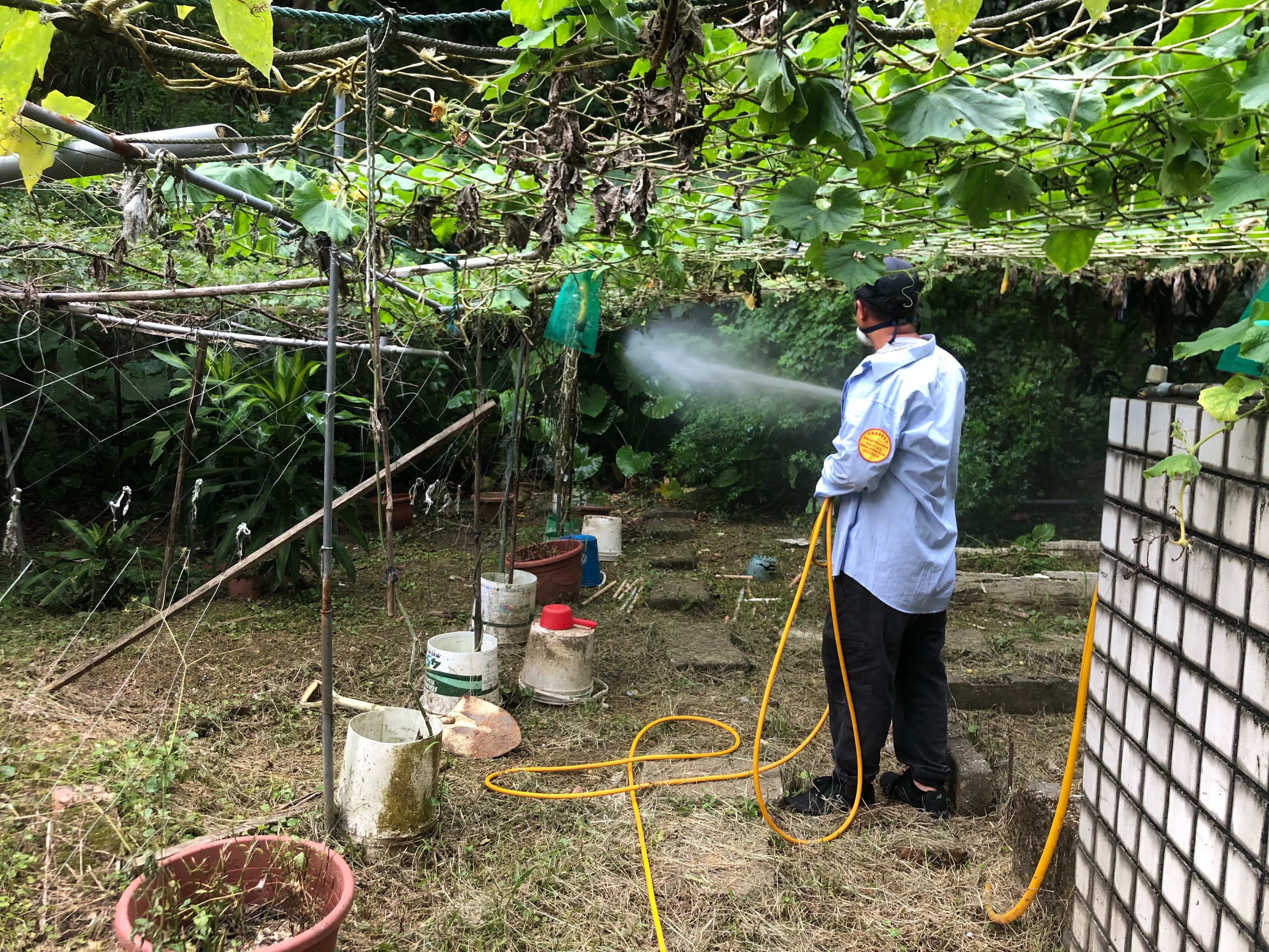 為防範疫情擴散 新北市已進行化學防治噴消
