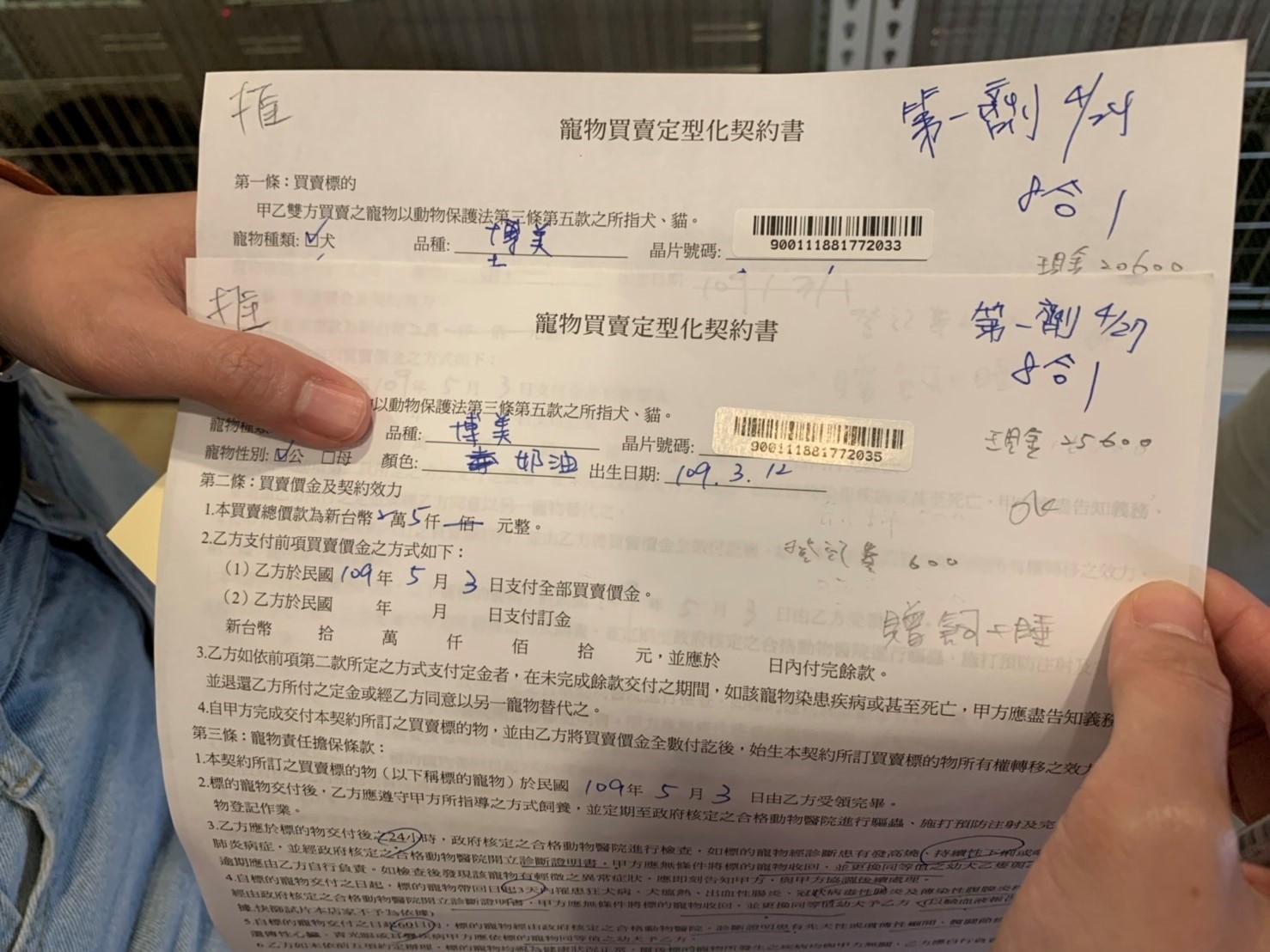 消費者購買犬貓，應詳閱買賣契約書，保障自身權益