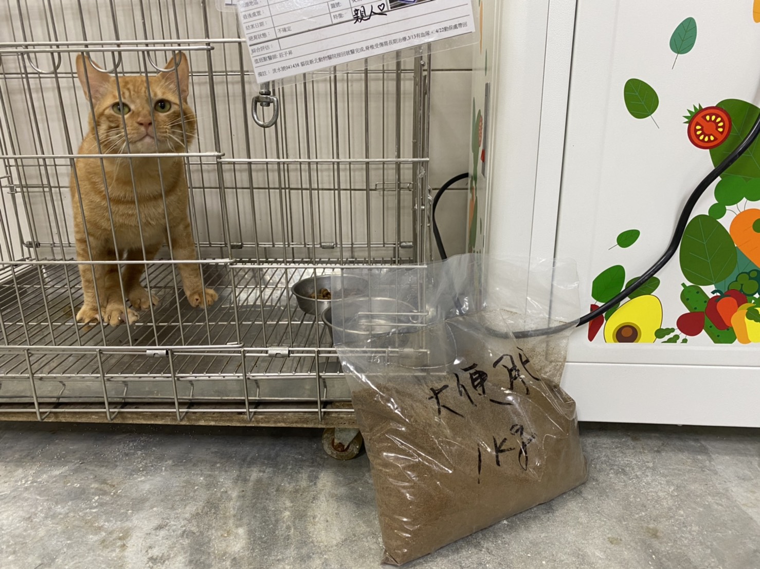 免費動物糞肥可供小農取用