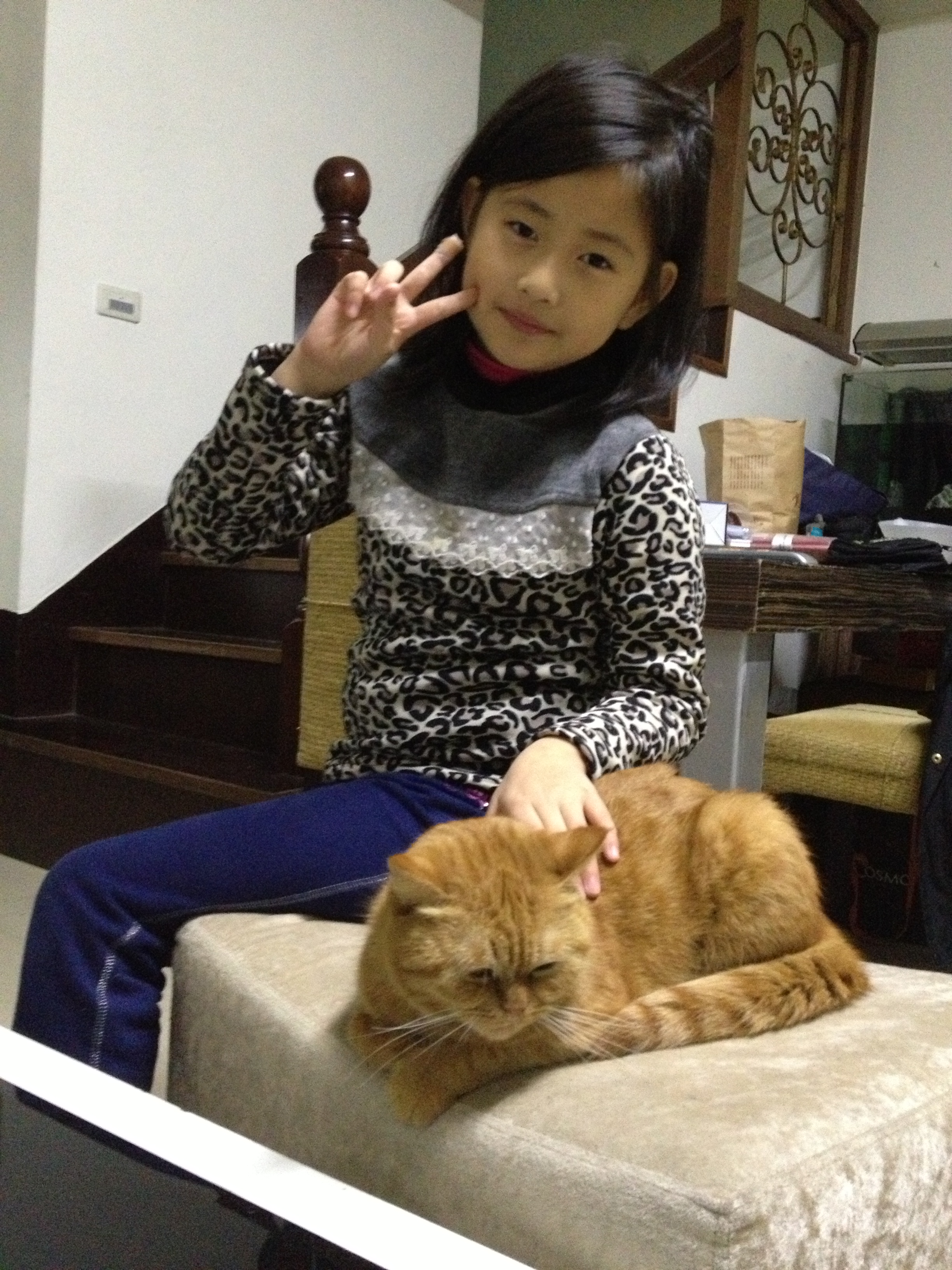 下課回來要先洗手 才能和貓咪一起玩喔