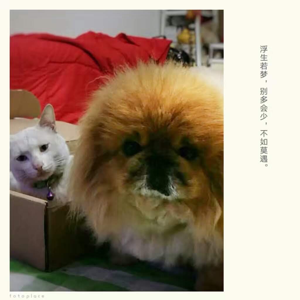 我們倆還是乖乖在家好了