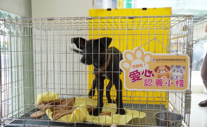 與政府合作的認養小棧