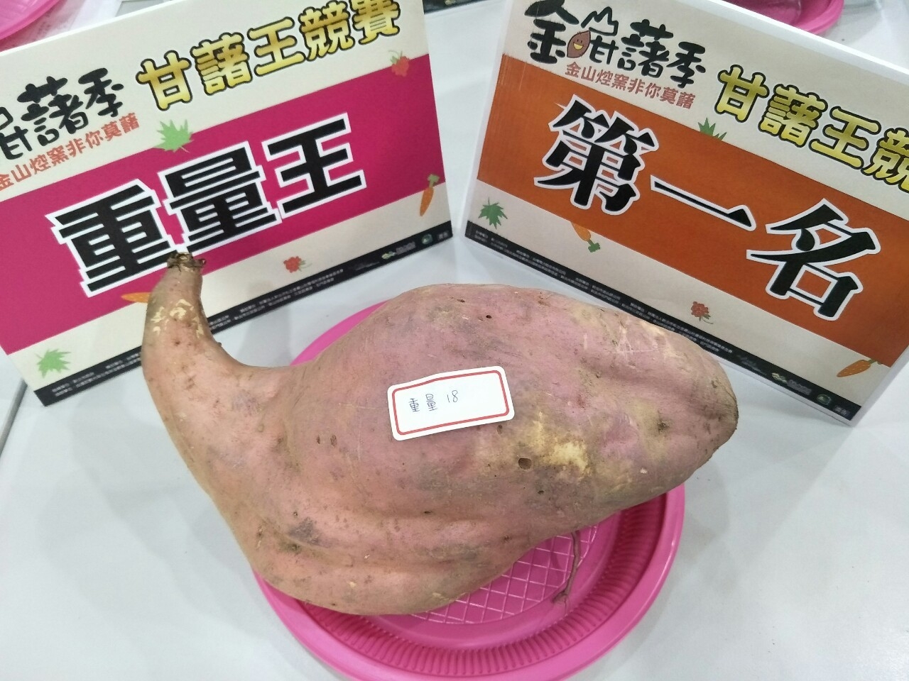 重量王第一名3310公克