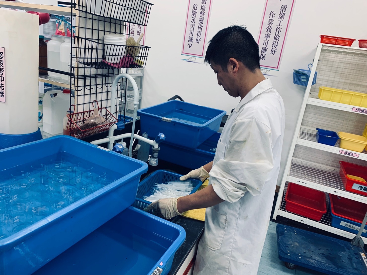 在台旭擔任實驗室助理的小楷認真工作的樣貌.jpg