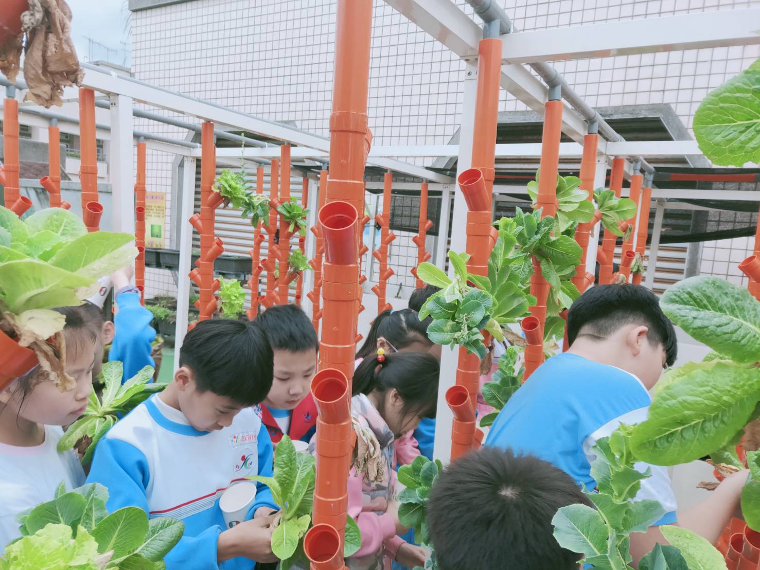 光復國小獲得金熊級低碳校園標章，推動蚓菜共生.jpg