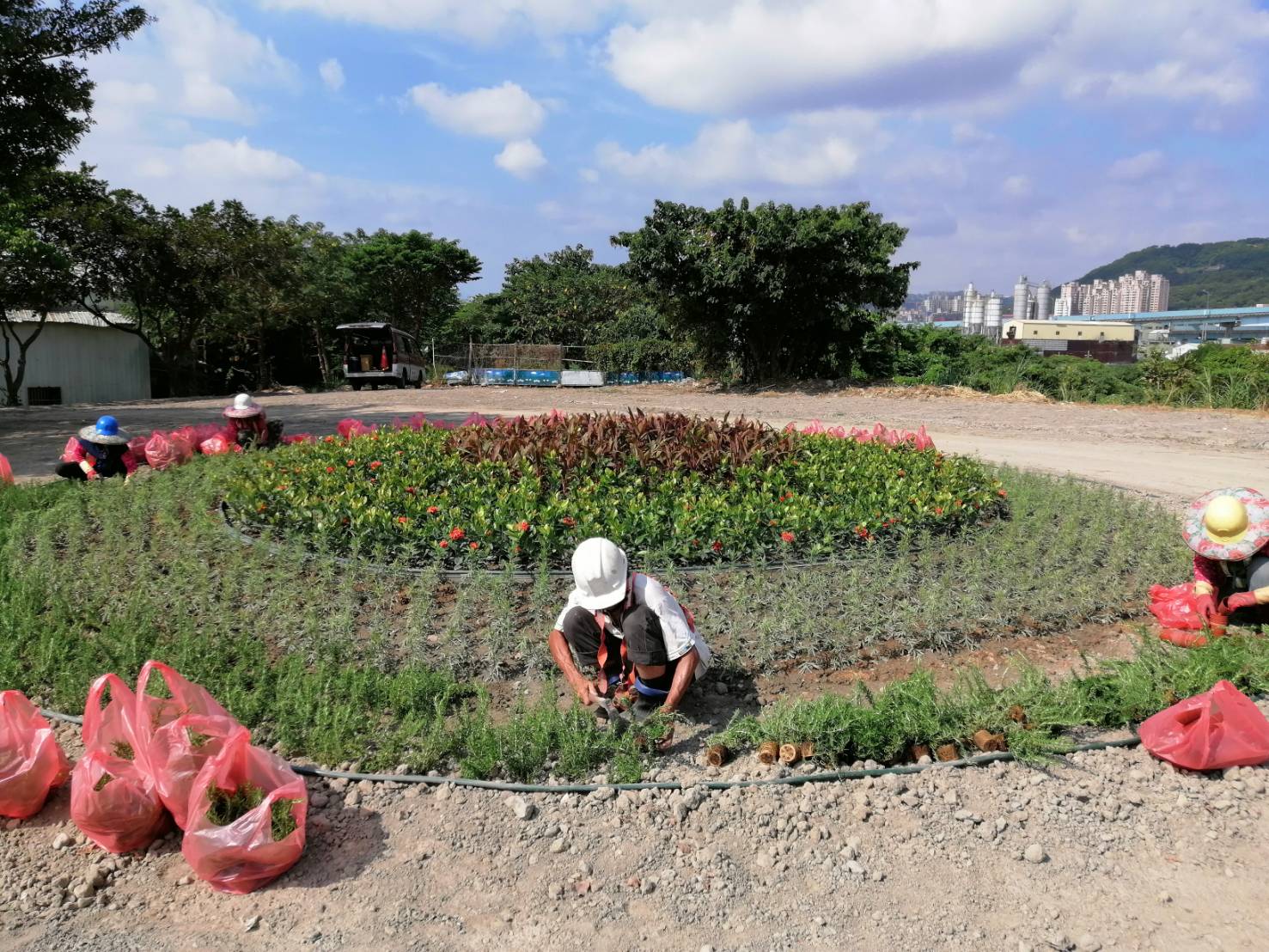 「心環原」區域內迷迭香等香草植物提供居民體驗與交流，呈現環境與人的共融關係